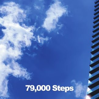 Book - 79,000 Steps
